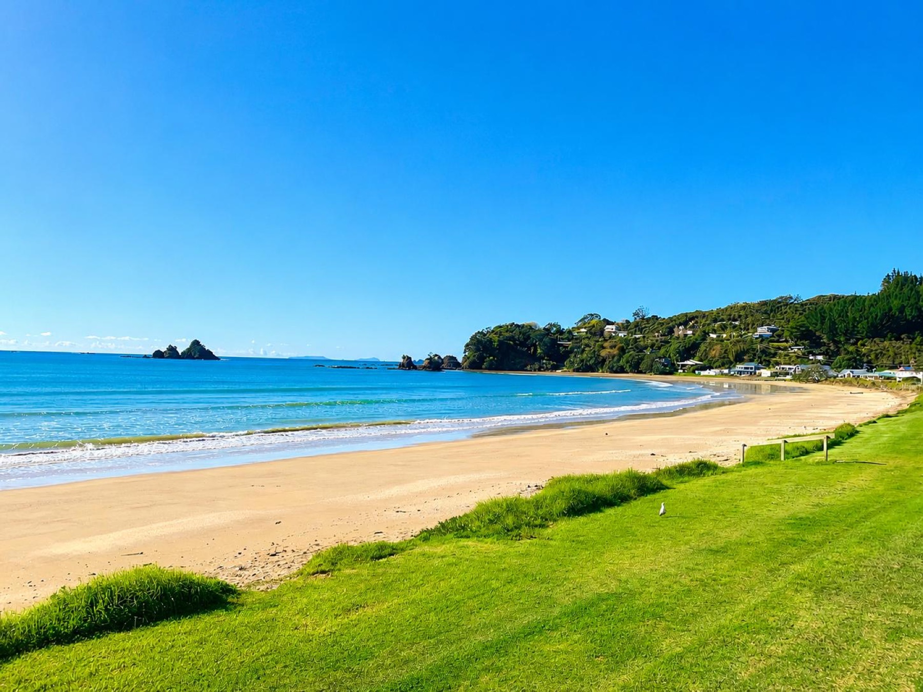 Oakura Bay beach seen across the waterfront lawn